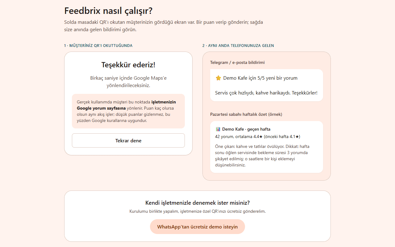 Feedbrix demosu: puan ve gelen bildirim